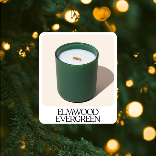 Elmwood Evergreen - WOODWICK