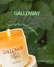 Load image into Gallery viewer, Galloway